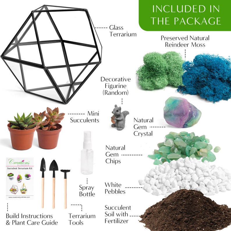 K&ouml;nnte beinhalten: Ein Sukkulenten-Terrarium-Set mit einem geometrischen Glasterrarium, zwei Mini-Sukkulenten in braunen T&ouml;pfen, konserviertem gr&uuml;nem und blauem Rentiermoos, einer Eichh&ouml;rnchenfigur, einem nat&uuml;rlichen Edelsteinkristall, gr&uuml;nen Edelsteinsplittern, wei&szlig;en Kieselsteinen, Erde, Werkzeugen und einer Anleitung.