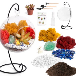 DIY Hanging Succulent Terrarium Kit – 5&quot; Globe with Live Plant –  Succulent Gift Set, Office Desk Decor, Plant Lover Kit