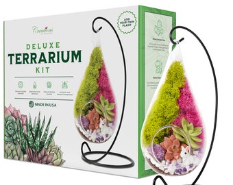 DIY Hanging Succulent Terrarium Kit: Live Plant Gift Set, 7" Teardrop