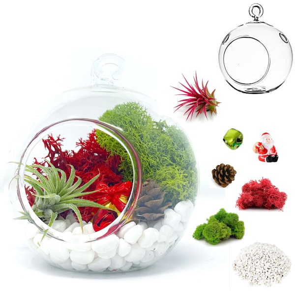 Terrarium Figurines Etsy