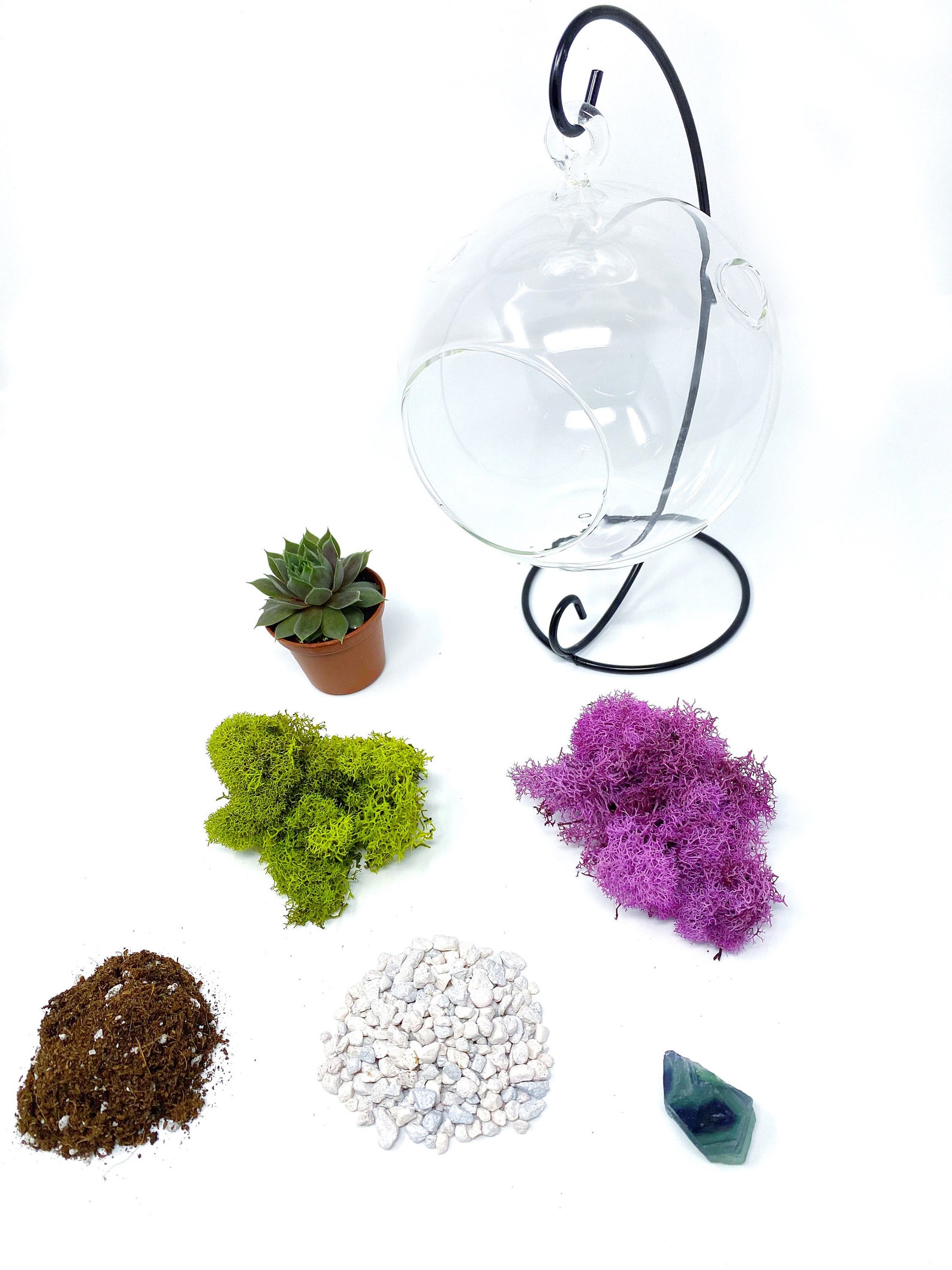 DIY Terrarium Kit for Adults w/ Live Succulent Plant Fresh Etsy