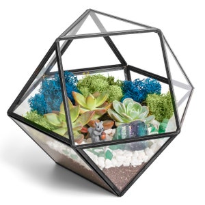 DIY 7&quot; Geometric Terrarium Kit – Live Succulents, Crystals – Succulent Gift Set, Office Desk Decor, Plant Lover Kit