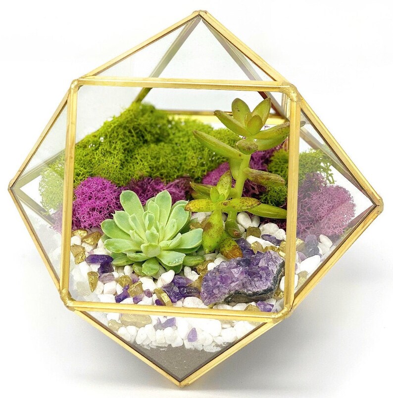 Creations by Nathalie DIY Terrarium Kit for Etsy