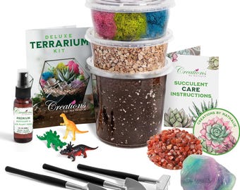 DIY Terrarium Starter Kit: Soil, Moss, Crystals & Tools
