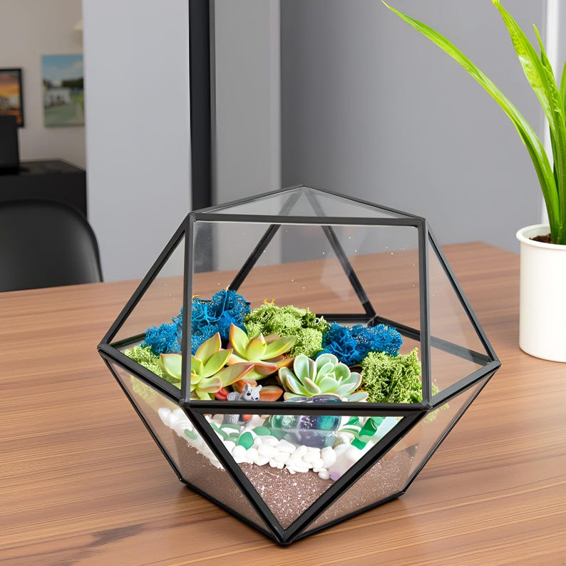 K&ouml;nnte beinhalten: Ein geometrisches Glasterrarium mit schwarzem Metallrahmen, das Sukkulenten, leuchtend blaues und gr&uuml;nes konserviertes Moos, wei&szlig;e Kieselsteine und braune Erde enth&auml;lt. Der Beh&auml;lter hat eine mehrseitige Form und steht auf einer Holzoberfl&auml;che.