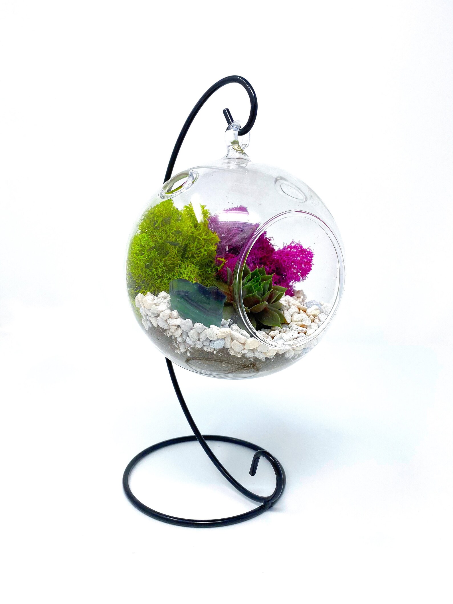 DIY Terrarium Kit for Adults w/ Live Succulent Plant Fresh Etsy