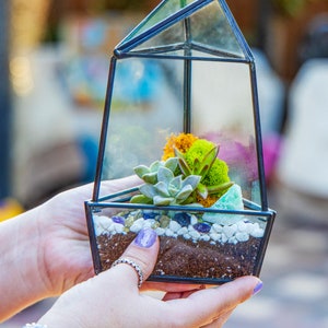 Creations by Nathalie - DIY Terrarium Kit w/ Plants, Decorative Rocks, Moss & Healing Crystals – 8” Geometric Glass Obelisk Terrarium Decor