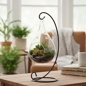 zz plant pot size Buy Large ZZ Plant | Low Maintenance & Perfect for Beginners