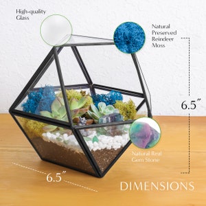 K&ouml;nnte beinhalten: Ein geometrisches Glasterrarium mit schwarzem Metallrahmen, das 16,5 cm hoch und breit ist. Es enth&auml;lt Erde, wei&szlig;e Kieselsteine, gr&uuml;nes und blaues konserviertes Rentiermoos, Sukkulenten sowie einen nat&uuml;rlichen violett-gr&uuml;nen Edelstein.