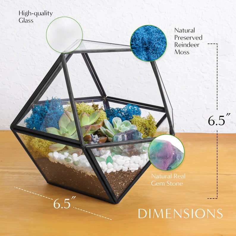 K&ouml;nnte beinhalten: Ein geometrisches Glasterrarium mit schwarzem Metallrahmen, das 16,5 cm hoch und breit ist. Es enth&auml;lt Erde, wei&szlig;e Kieselsteine, gr&uuml;nes und blaues konserviertes Rentiermoos, Sukkulenten sowie einen nat&uuml;rlichen violett-gr&uuml;nen Edelstein.