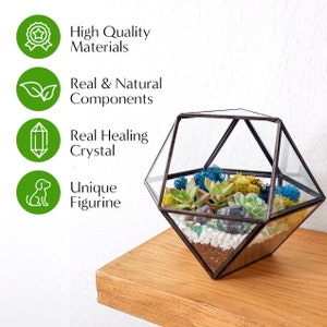 K&ouml;nnte beinhalten: Ein geometrisches Glasterrarium mit einem dunklen Metallrahmen, das Sukkulenten, Moos, wei&szlig;e Kieselsteine, Erde und einen Kristall enth&auml;lt. Der Text auf der linken Seite lautet: High Quality Materials, Real & Natural Components, Real Healing Crystal, Unique Figurine.