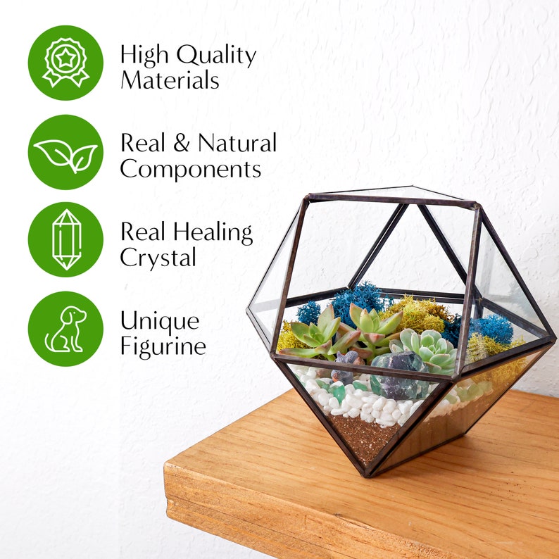 K&ouml;nnte beinhalten: Ein geometrisches Glasterrarium mit einem dunklen Metallrahmen, das Sukkulenten, Moos, wei&szlig;e Kieselsteine, Erde und einen Kristall enth&auml;lt. Der Text auf der linken Seite lautet: High Quality Materials, Real & Natural Components, Real Healing Crystal, Unique Figurine.