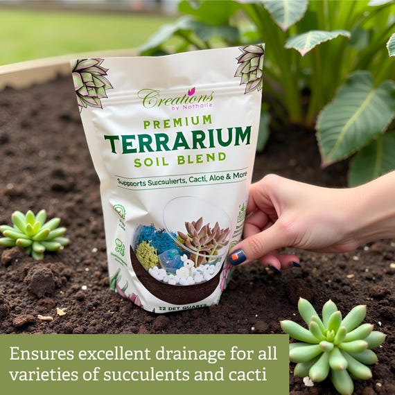 Succulent & Cactus Soil Blend: Terrarium Planting Mix - Fast Drainage -  Etsy Israel