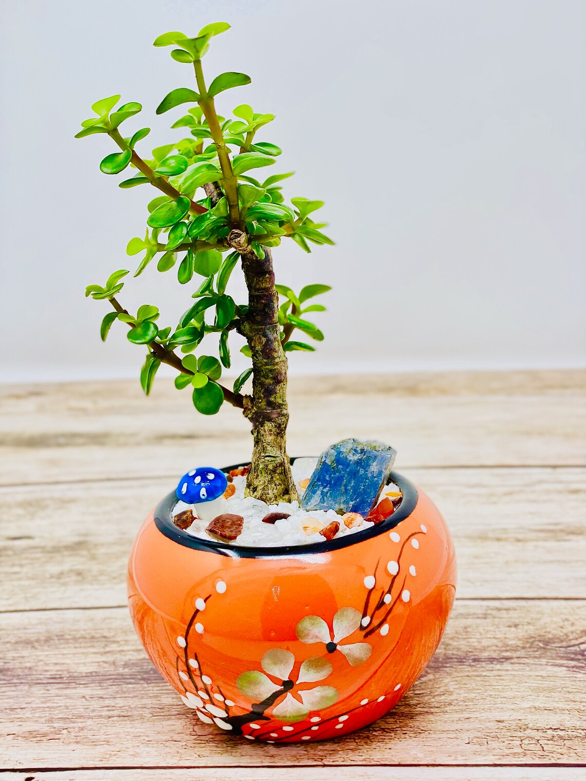 Mini Jade Bonsai with Ceramic Base and Gem Crystal Etsy