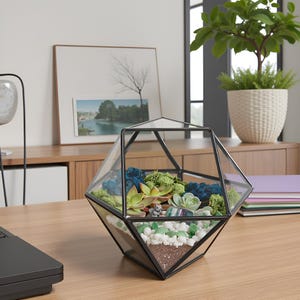 K&ouml;nnte beinhalten: Ein geometrisches Glasterrarium mit schwarzem Metallrahmen, das eine Miniaturlandschaft aus gr&uuml;nen Sukkulenten, blauen konservierten Blumen, Moos, wei&szlig;en Kieselsteinen und brauner Erde enth&auml;lt. Eine kleine graue Eichh&ouml;rnchenfigur ist darin platziert.