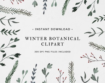 Watercolor Christmas Clipart - Christmas Botanical Elements - Christmas Plants - Winter Elements Clipart - Winter clipart-