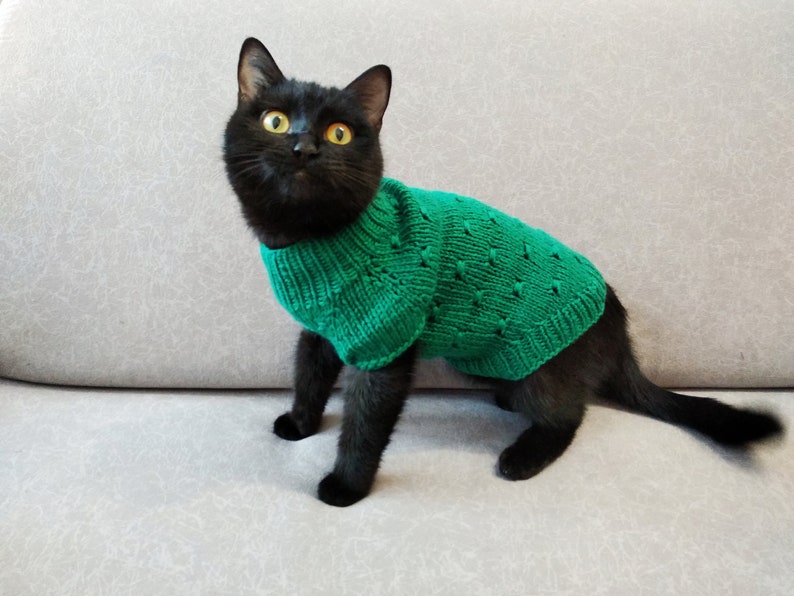 cat pocket jumper