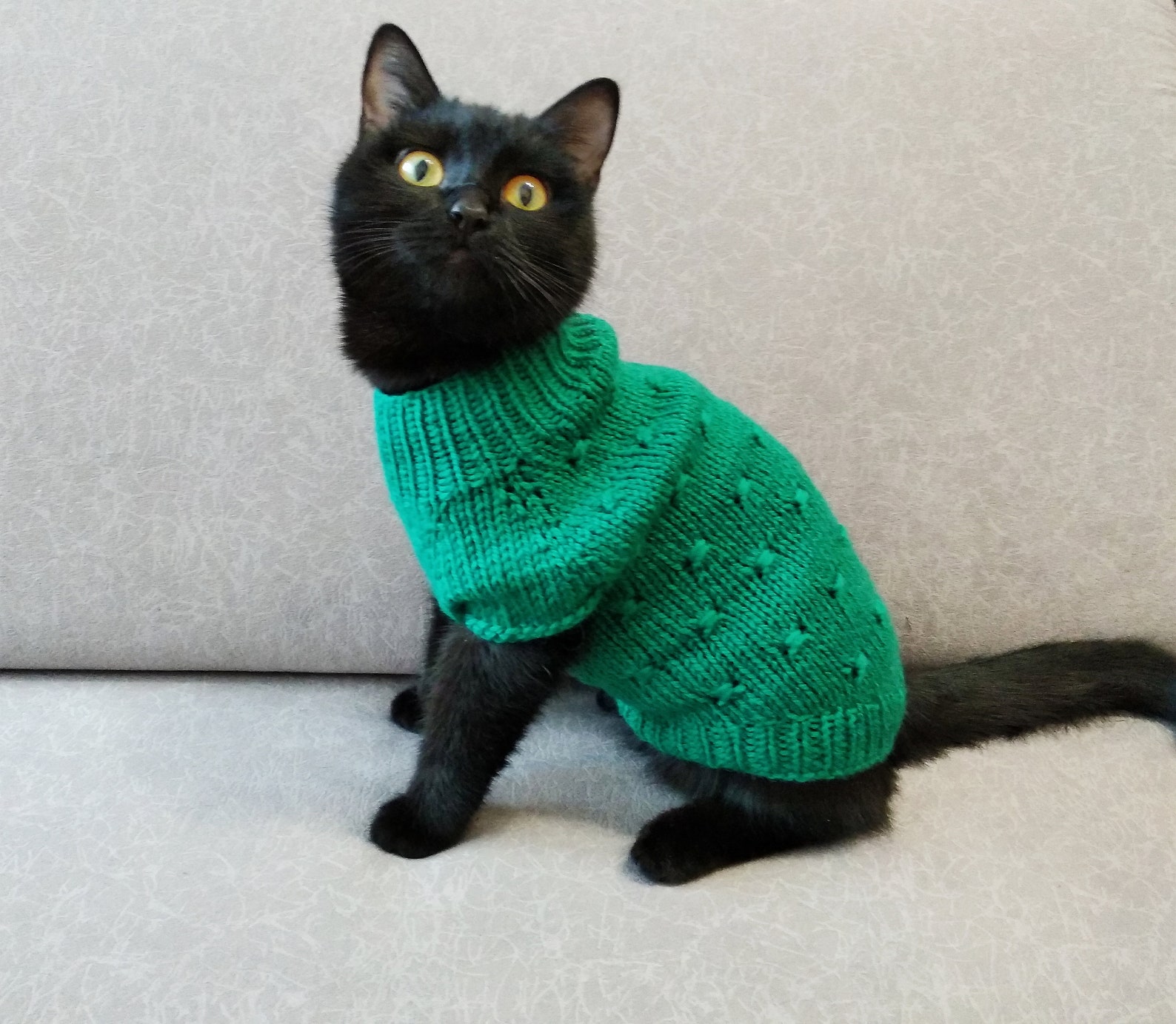 Hand knitted cat sweater Jumper for cat pet Sphynx cat sweater Etsy