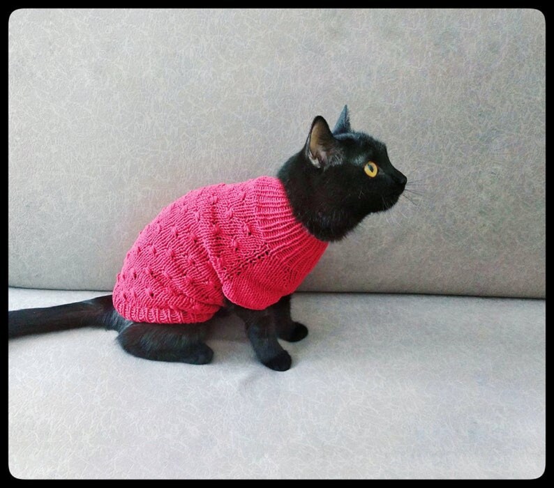 Cat jumper pattern chest 1113 inch Knit pattern pet clothes Etsy
