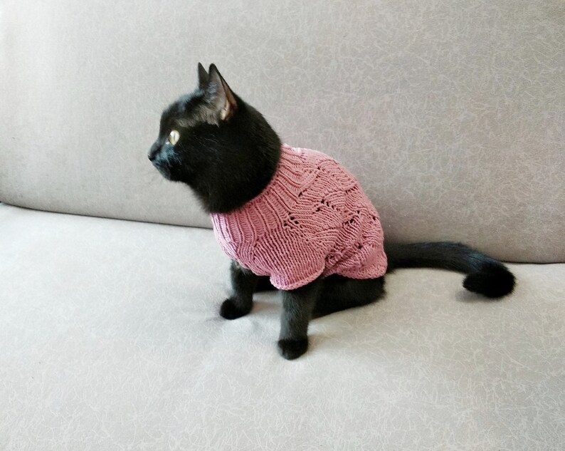Cotton knitted cat jumper open knit cat sweater Pet clothes Etsy
