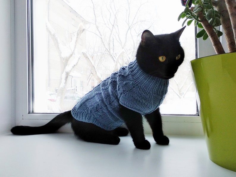 Cotton knit cat jumper Cable pet sweater Cotton cat clothing Etsy