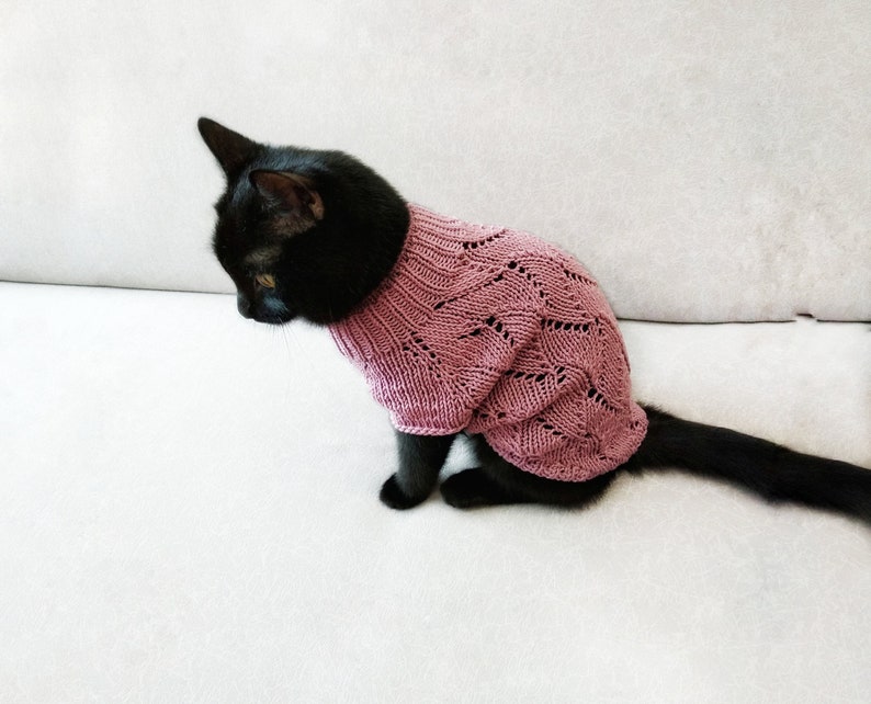 Cotton knitted cat jumper open knit cat sweater Pet clothes Etsy