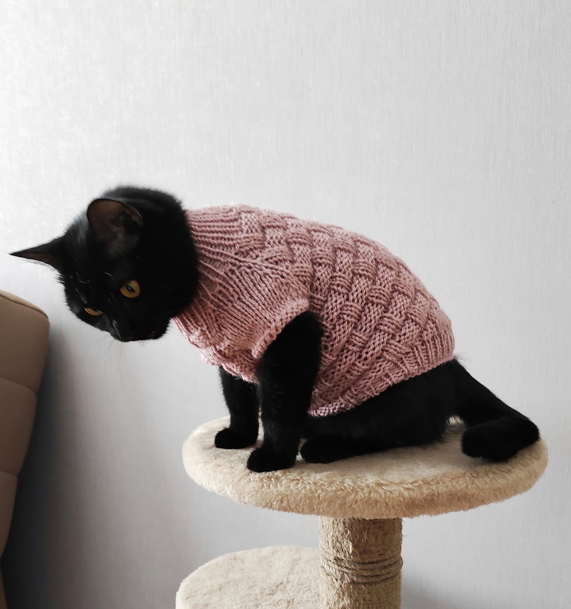Knit cat sweater Pet jumper Knit pet clothes Sphynx cat Etsy