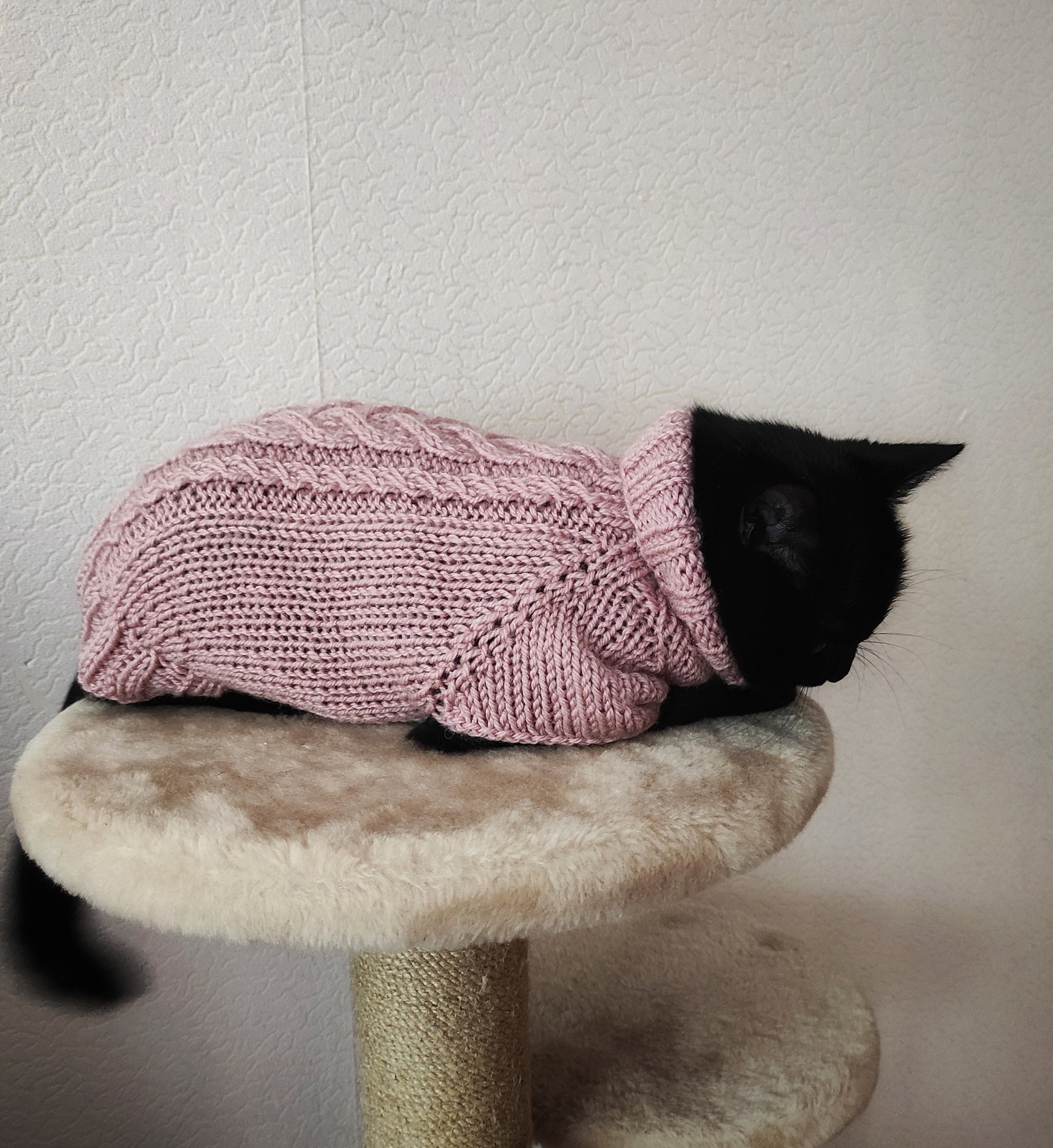 Cable sweater for cat Knit clothes for cats Hand knit pet Etsy