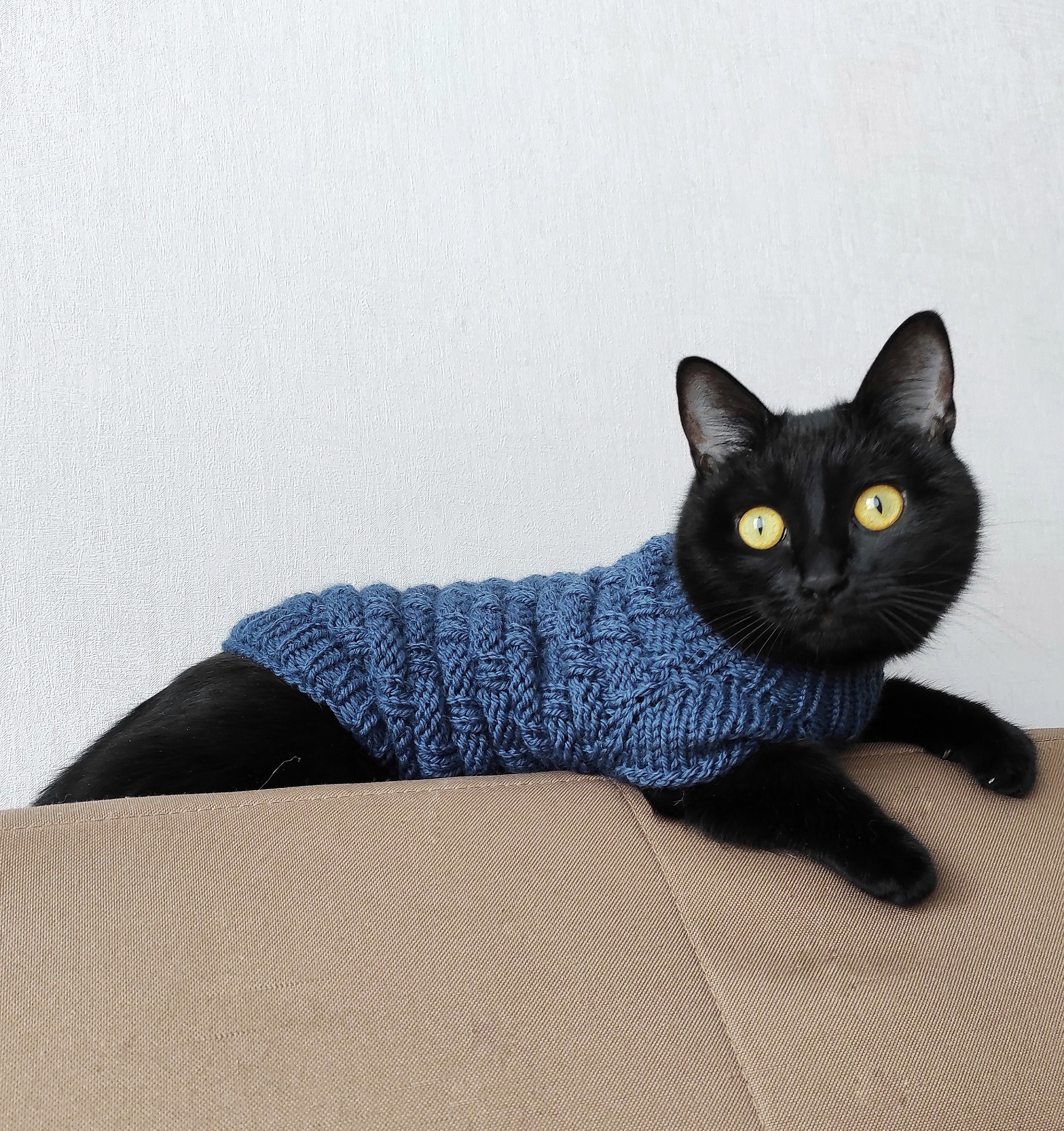 Knit cat sweater Pet jumper Knit pet clothes Sphynx cat Etsy
