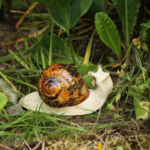 Könnte beinhalten: Eine Schneckenfigur aus Keramik mit einem glänzenden, spiralförmigen Gehäuse in einem marmorierten Muster aus dunkelbraunen, schwarzen und bernsteinfarbenen Tönen. Der Schneckenkörper ist glatt, cremeweiß und hat zwei kleine, aufrechte Augenstiele.