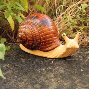 Könnte beinhalten: Eine Schneckenfigur aus Keramik mit einem glänzenden, spiralförmigen Gehäuse in dunklen Braun- und Schwarztönen. Der Körper der Schnecke ist in einem hellen Cremebeige gehalten, hat eine glatte, strukturierte Oberfläche und zwei Augenstiele.