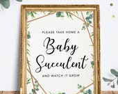Take Home a Baby Succulent Sign, Baby Shower Sign, Printable, Instant Download, Gender Neutral, Greenery, Baby Shower Decor, Printable Sign