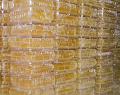 Beautiful Succulent Comb Dripping with Raw Honey Pure Natural Honeycomb