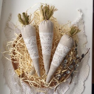 Set 3 Tiered tray easter decor sets Fabric carrot