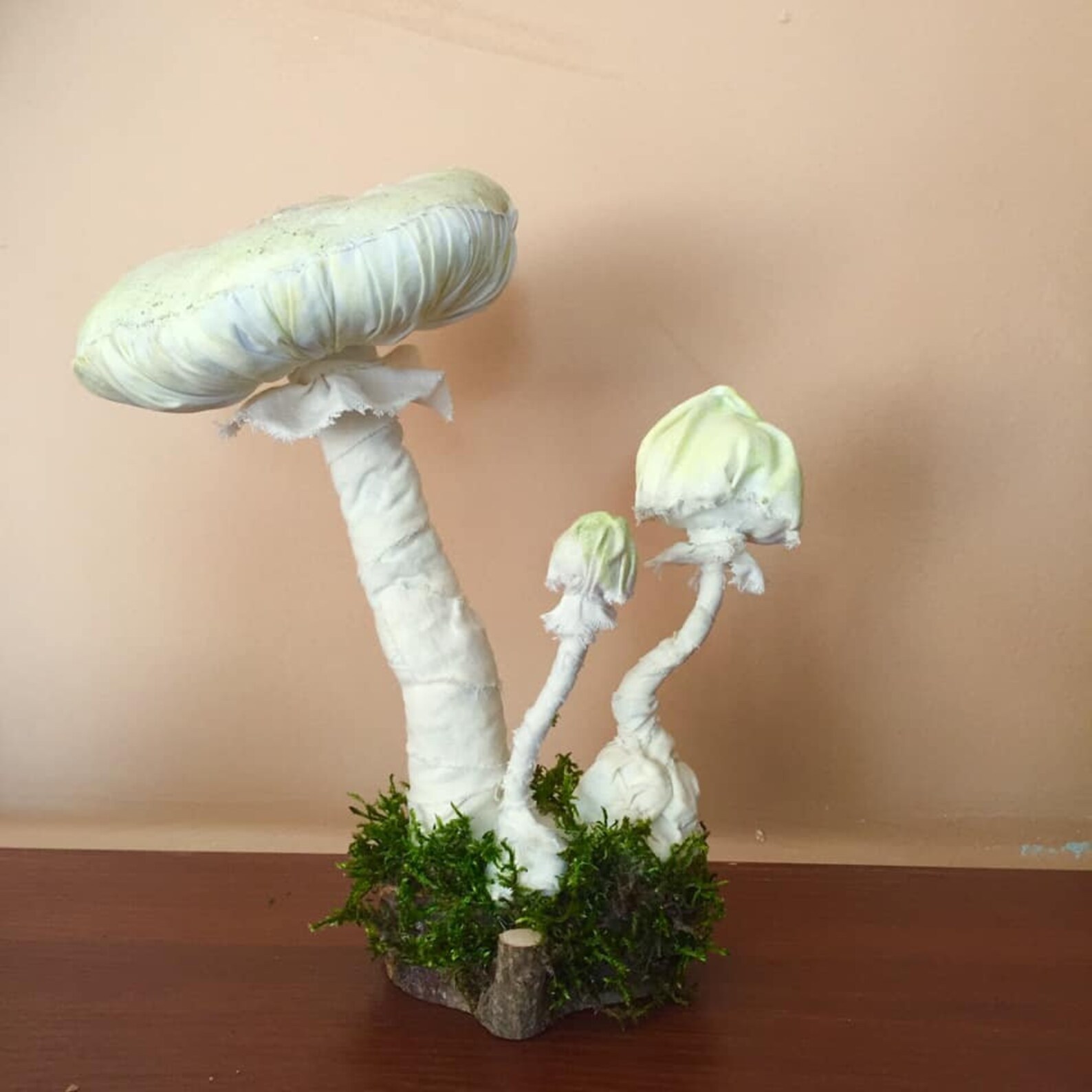 Mushroom textile art Cottagecore mushroom decor Primitive Etsy