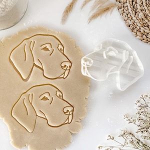 May include: Two cookie cutters in the shape of a dog's head. The cutters are made of clear plastic and are on a white surface. One cutter is on top of a sheet of cookie dough, and the other cutter is next to the dough.