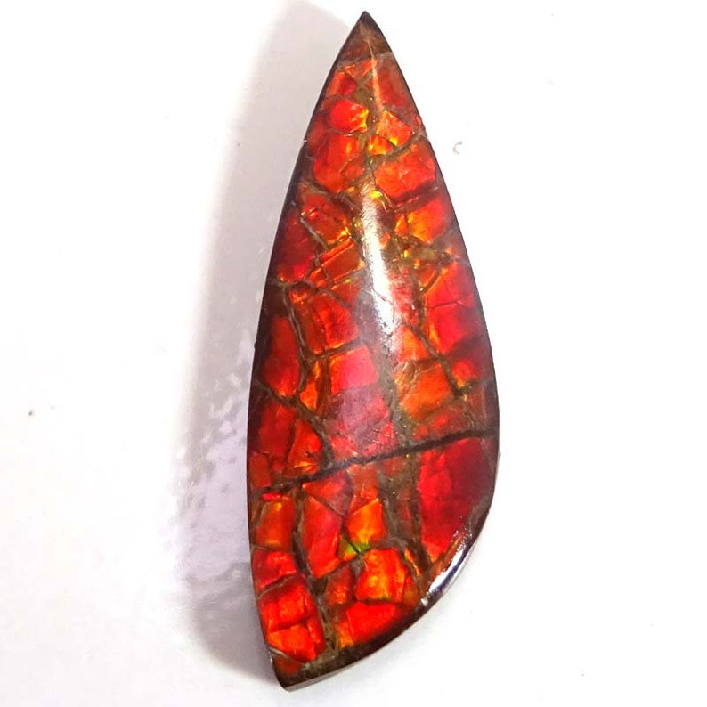 11.90 Cts AMMOLITE Cabochon 100/% Natural Royal Ammolite Fancy Shape ~12x34x3 mm~ Loose Gemstones