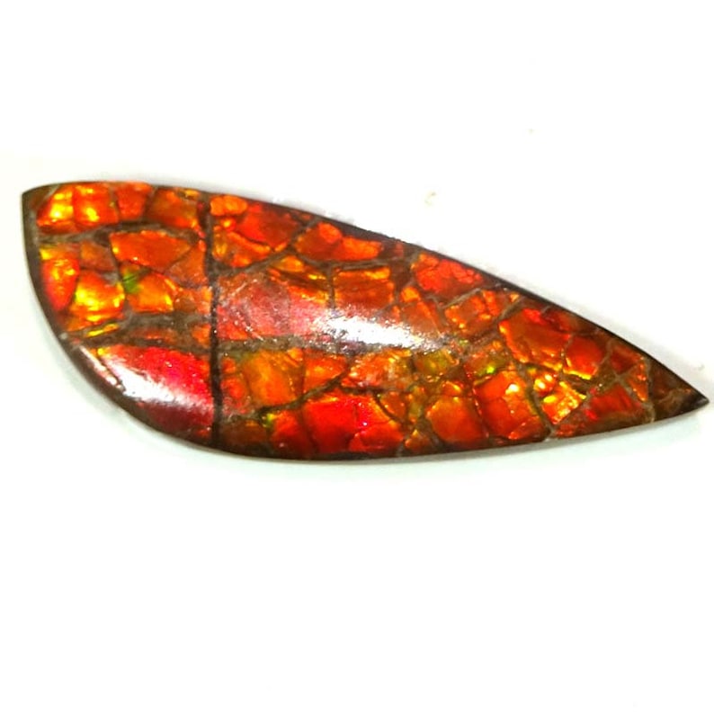 11.90 Cts AMMOLITE Cabochon 100/% Natural Royal Ammolite Fancy Shape ~12x34x3 mm~ Loose Gemstones