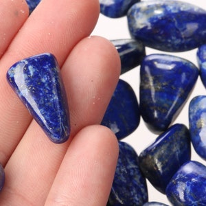 May include: A hand holding a collection of tumbled lapis lazuli stones. The stones are a deep blue color with flecks of gold.