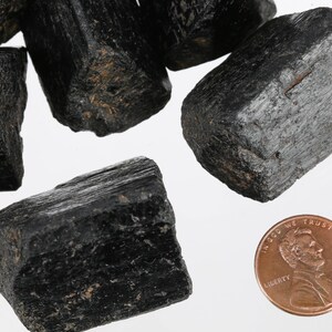 Może przedstawiać: Kolekcja czarnych kryształ&oacute;w turmalinu, niekt&oacute;re z lekkim połyskiem, obok amerykańskiego centa dla skali.