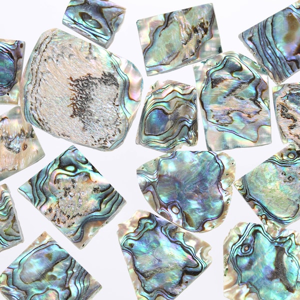 Abalone Shell Slices, Raw Abalone Crystal, Abalone Crystal, Healing Crystal, Rough Gemstone, AbSlice001