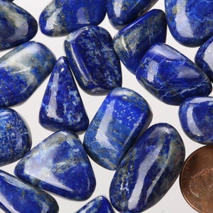 May include: A collection of tumbled lapis lazuli stones, each with a unique blue and white pattern. The stones are smooth and polished, with a glossy finish. A penny is included for scale.