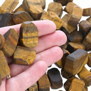 Raw Tigers Eye Crystal Pieces: Genuine Healing Gemstone LTigerEye004