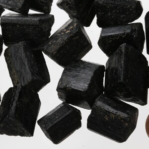 May include: A collection of black tourmaline crystals, some with a slight sheen, arranged on a white surface. A US penny is included for scale.