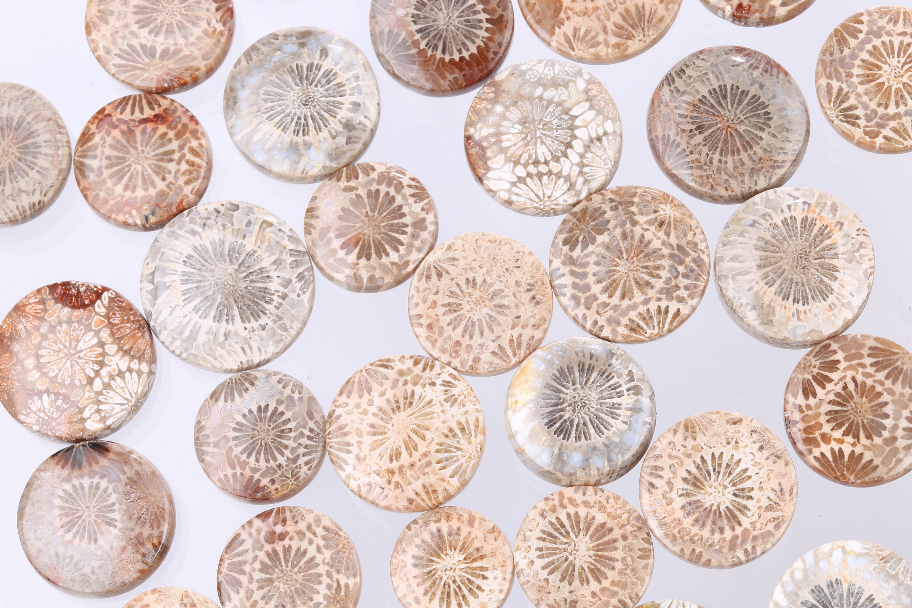 Coral Buttons Coral Jewelry Making Genuine Coral Polished Etsy UK