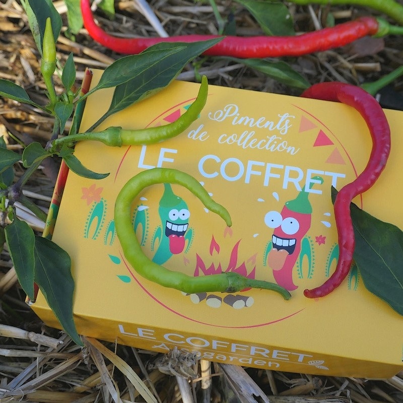 Coffret Piments de Collection | 6 Variétés Bio Pour Sauces Piquantes