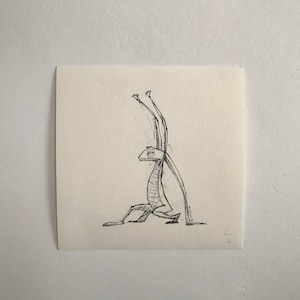 Haas / Hase - limitierte Auflage