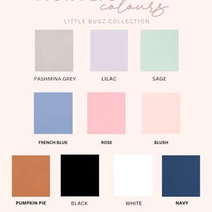 May include: A color chart showing 12 acrylic paint colors. The colors are: Pashmina Grey, Lilac, Sage, French Blue, Rose, Blush, Pumpkin Pie, Black, White, and Navy.