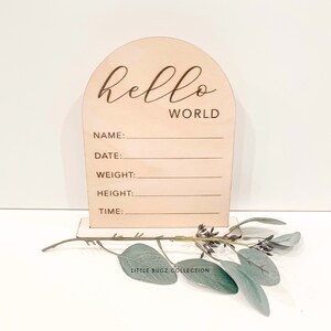 Può includere: Un cartello di legno con la parte superiore ad arco e il testo "hello world" in corsivo. Il cartello ha righe vuote per "nome", "data", "peso", "altezza" e "ora".