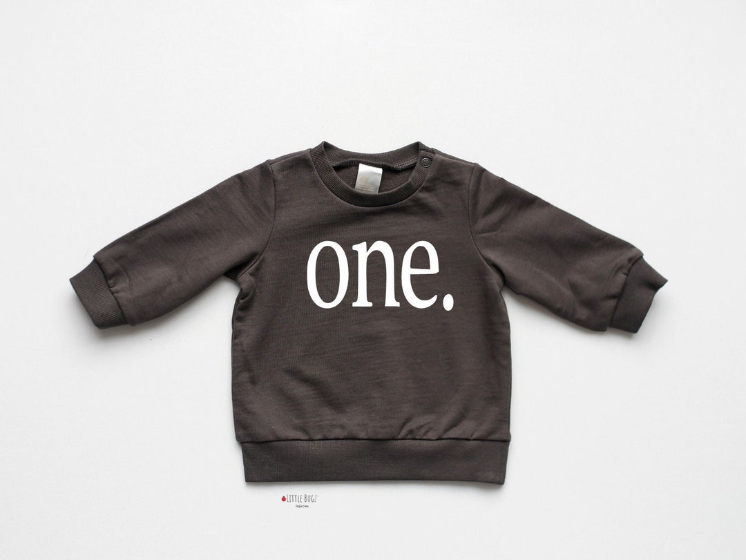 One Sweatshirt, Toddler First Birthday Sweatshirt, One Sweatshirt